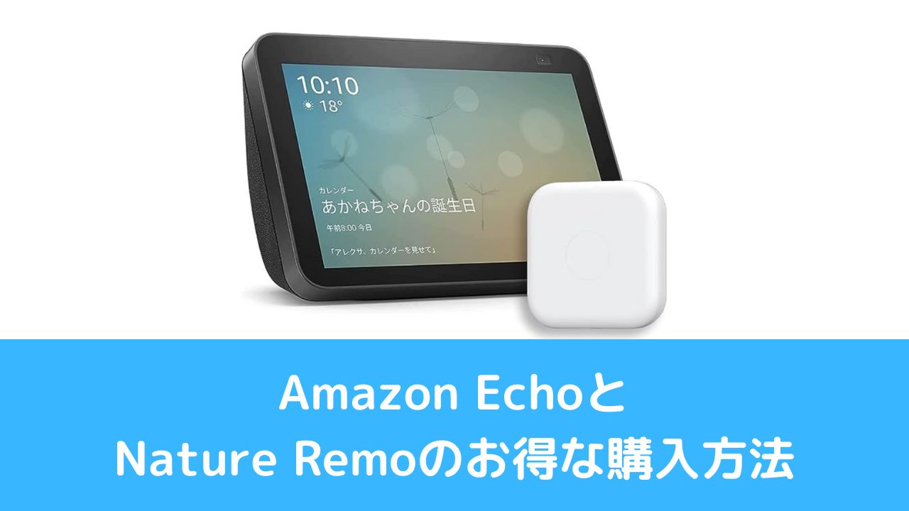 Amazon EchoとNature Remoのお得な購入方法