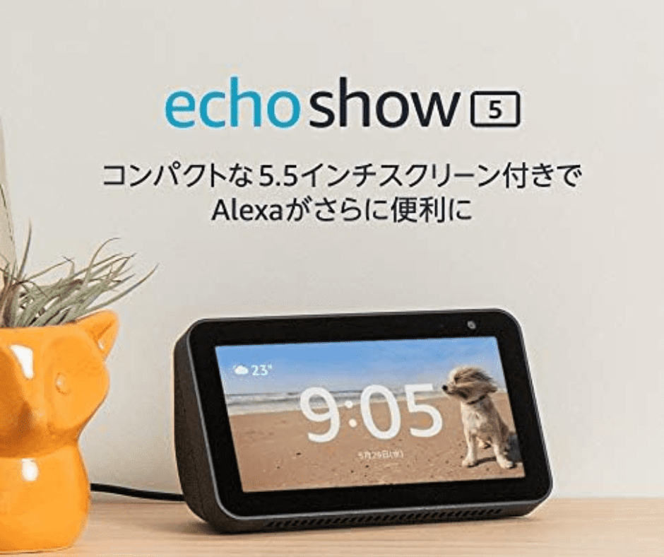 echo show 5
